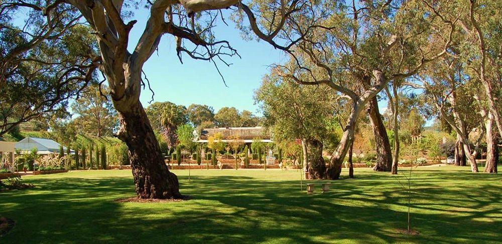 Jacobs Creek Retreat - Barossa Valley Tanunda Exterior foto
